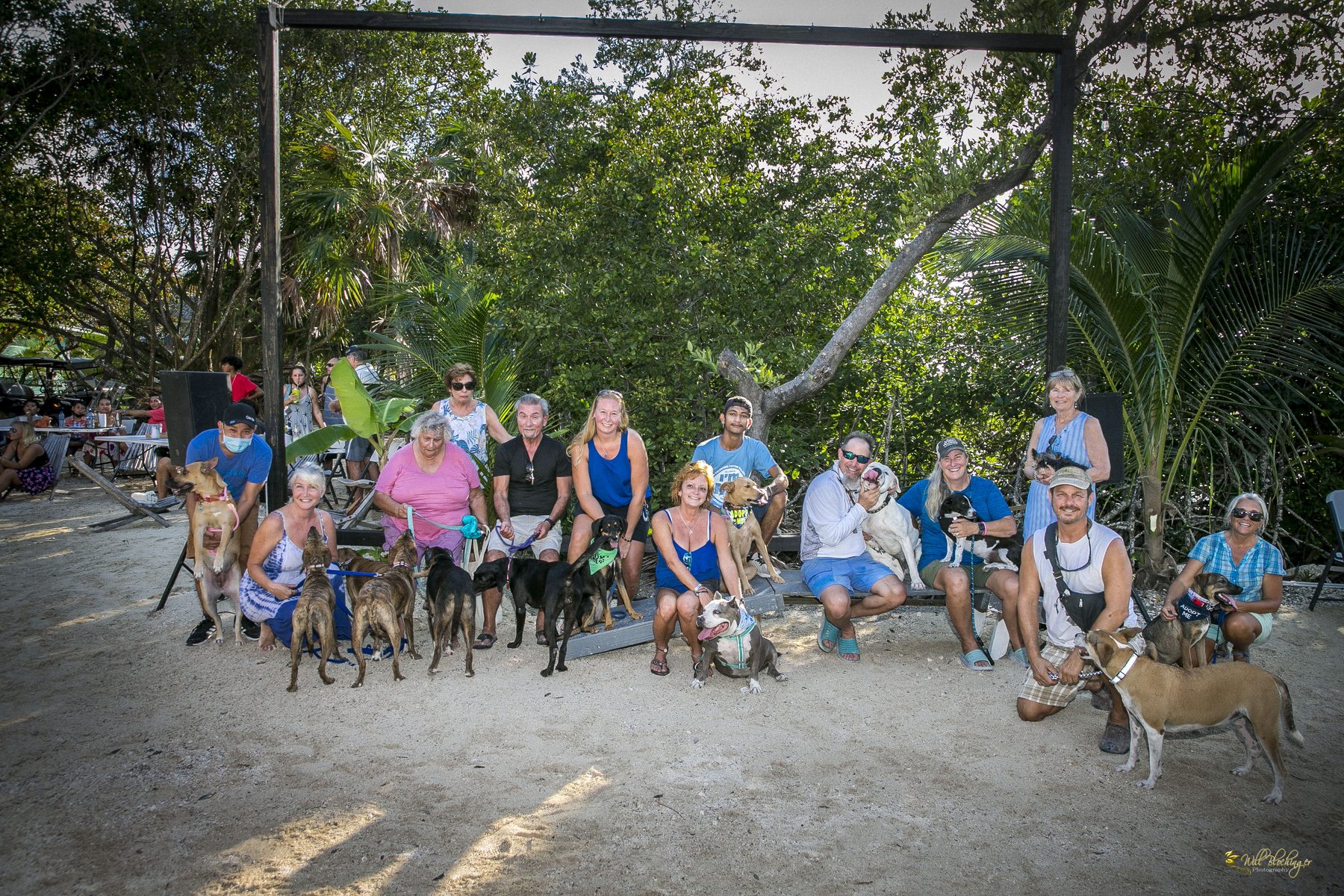 Handlers and adoptable dogs at the Potlicker Dog Show
