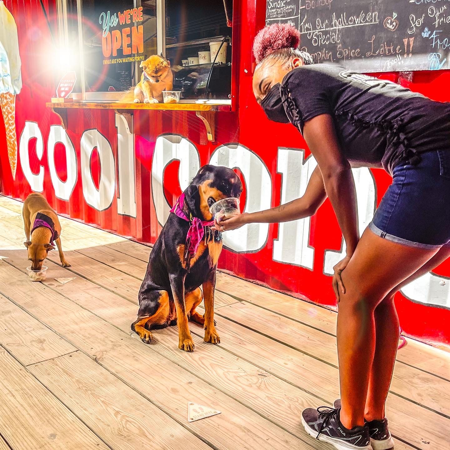 A dog enjoying a Frosty Paws at Cool Cone